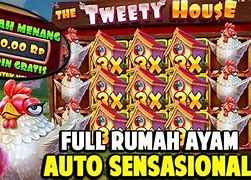 The Tweety House Slot Hari Ini Indonesia Open 2024 Hari Ini Live